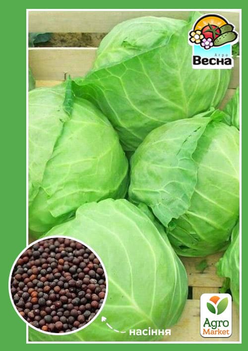 

Капуста Раннеспелая ТМ Весна 0.5г