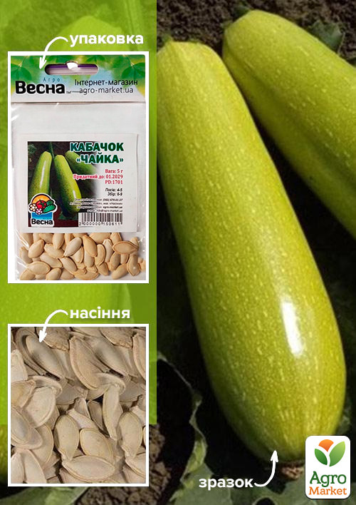 

Кабачок Чайка (Зипер) ТМ Весна 5г