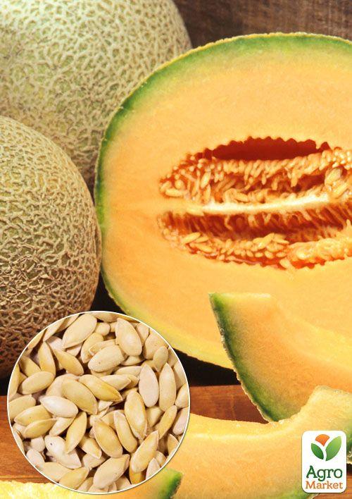 

На вагу Диня Ананас ТМ Весна ціна за 5г