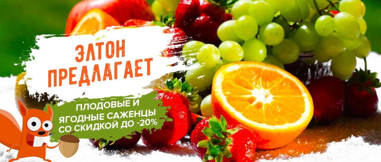 Акция! Элтон предлагает саженцы со скидкой до -20% Акция! Элтон предлагает саженцы со скидкой до -20%