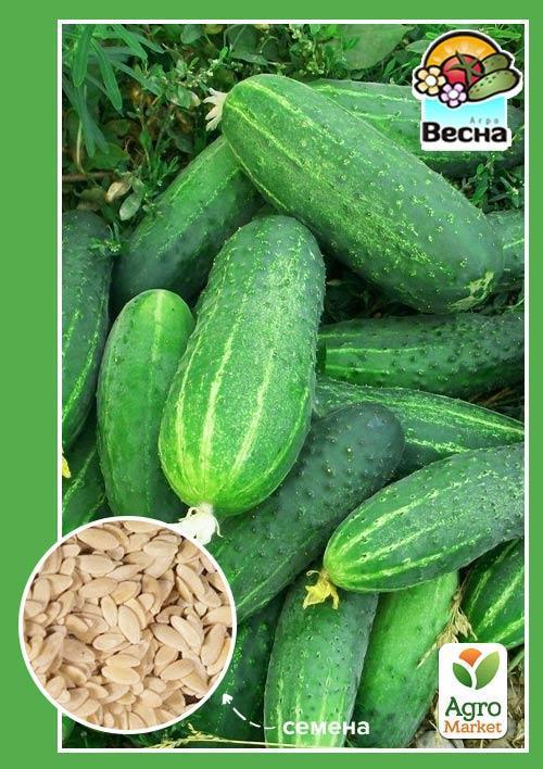 

Огірок Фенікс 640 ТМ Весна 0.5г