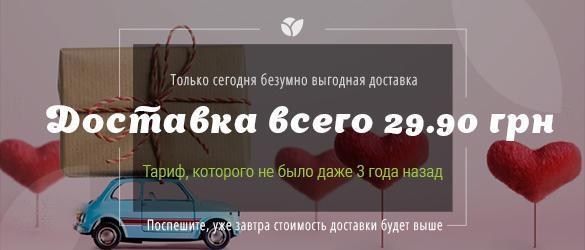 Такого тарифа на доставку еще не было! Такого тарифа на доставку еще не было!