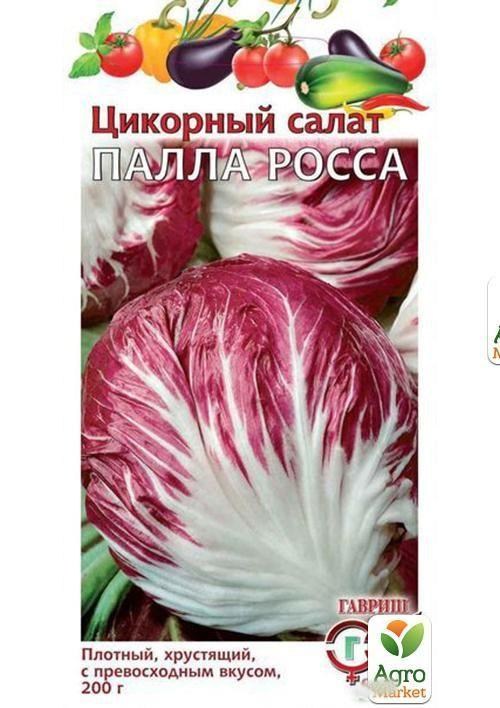 

Цикорный салат "Палла Росса" ТМ "Гавриш" 0.1г