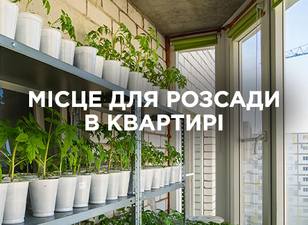 Місце для розсади в квартирі: як створити оптимальні умови | Agro-market