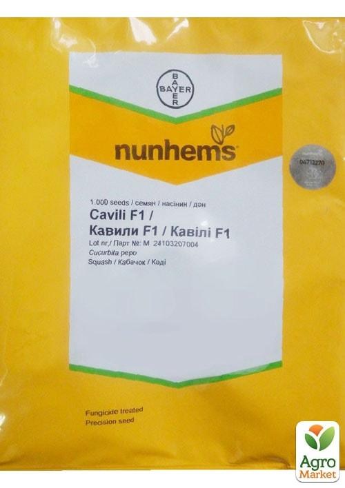 

Кабачок Кавілі F1 ТМ Nunhems Zaden 1000шт