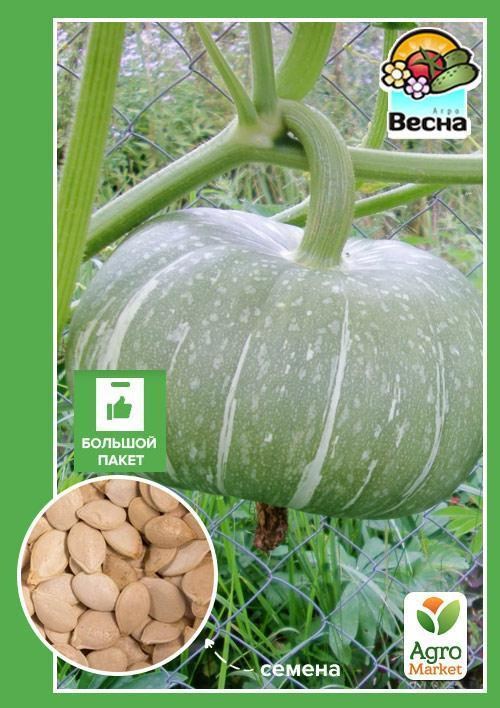 

Тыква "Ждана" (Большой пакет) ТМ "Весна" 8г