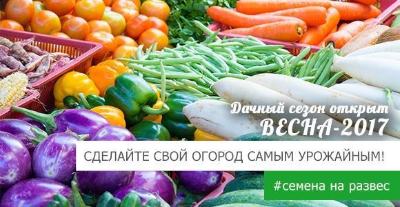 Количество подарков зависит только от Вас! Количество подарков зависит только от Вас!
