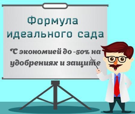 Формула идеального сада Формула идеального сада