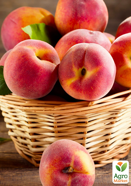 

Ексклюзив! Персик жовтий з темно-рожевим рум'янцем Щедрий (Generous) (преміальний стійкий до захворювань сорт, пізнього строку дозрівання)