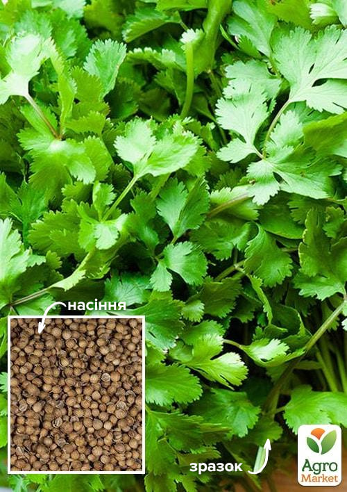 

Коріандр Пікантний ТМ Весна 100г
