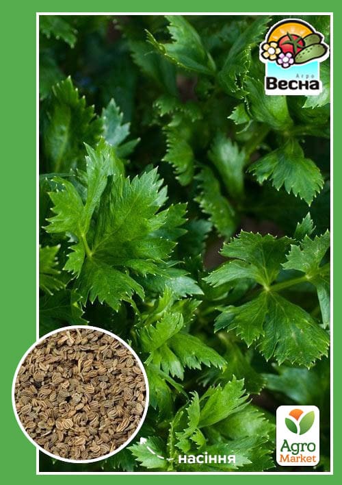 

Селера Листкова (Великий пакет) ТМ Весна 1г