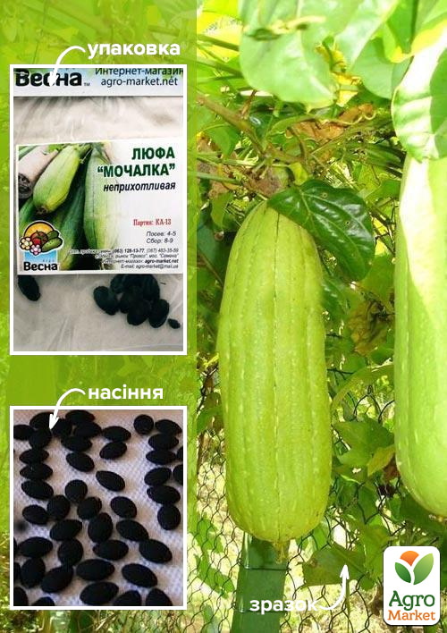 

Люффа Мочалка (Зипер) ТМ Весна 1г