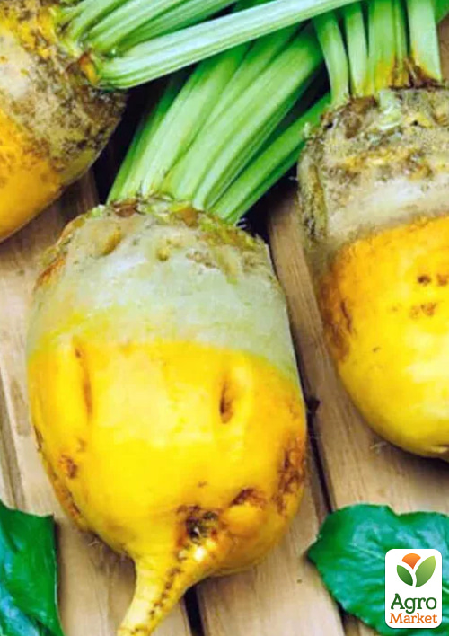 

На развес Свекла кормовая Сонет ТМ Весна цена за 15г