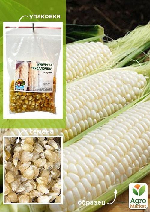 

Кукуруза Русалочка ТМ Весна 100г