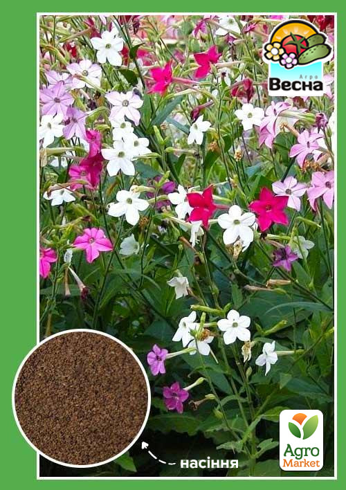 

Семена Табак душистый смесь ТМ Весна 0.2г