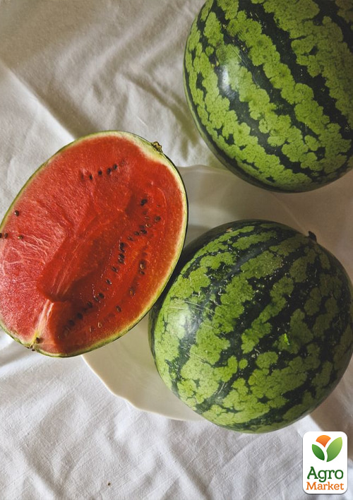 

Комплект семян арбуза Сочный взрыв 5уп