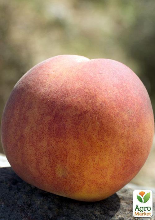 Основные правила ухода за персиком Вулкан