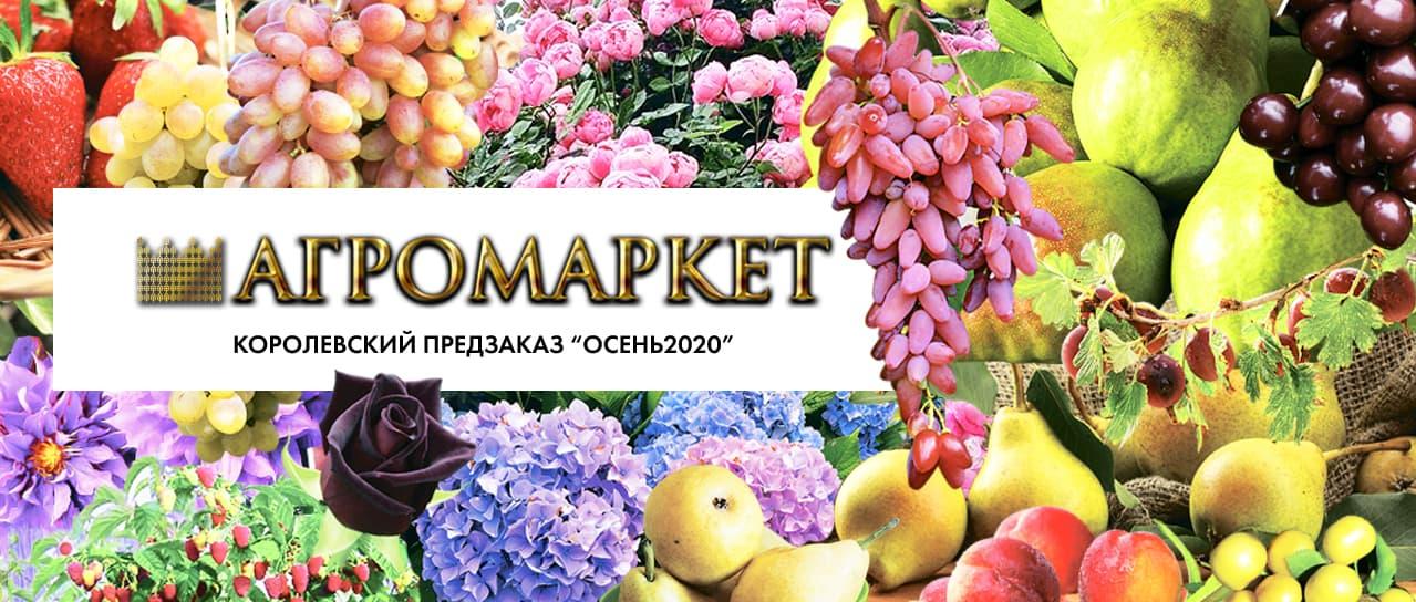 Королевский предзаказ Сезон "Осень 2020"