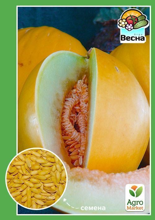 

Дыня "Лыпнева" ТМ "Весна" 1.5г