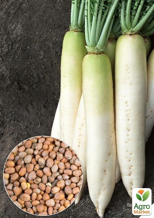 

На развес Редька Дайкон ТМ Весна цена за 10г