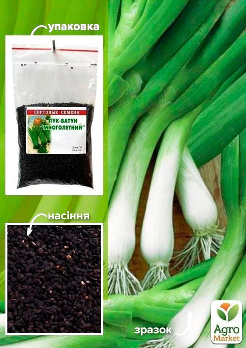 Лук-батун "Многолетний" ТМ "Весна" 100г