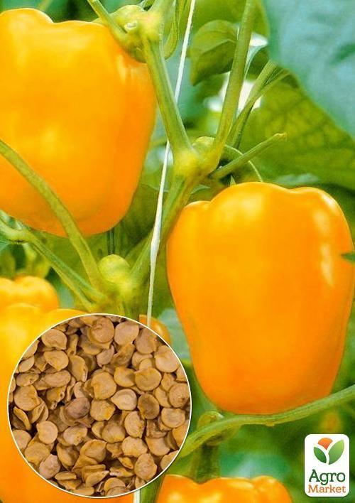 На развес Перец "Оранжевое чудо" ТМ "Весна" цена за 1г