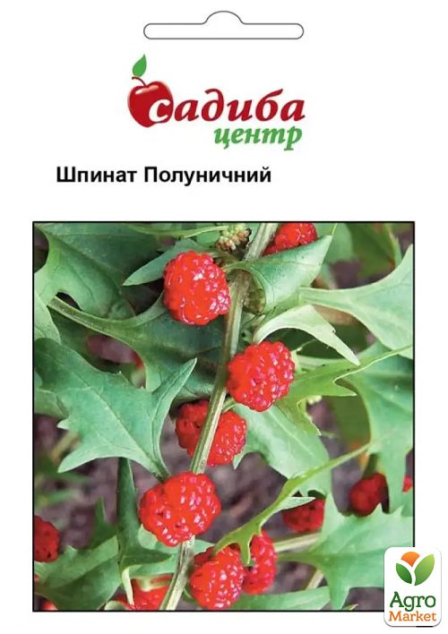 

Шпинат Суничний ТМ Садиба центр 0.1г