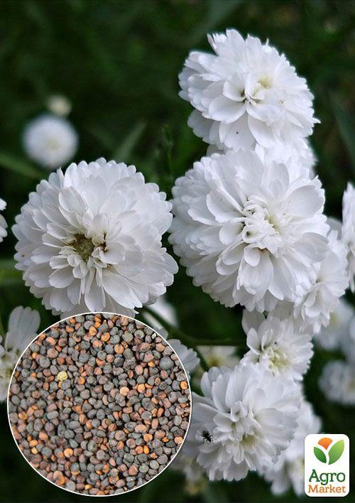 

На вагу Гіпсофіла біла ТМ Весна ціна за 2г