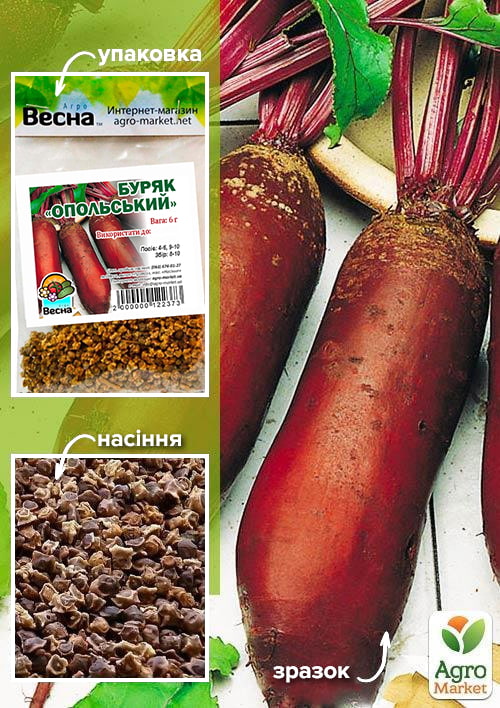 

Свекла Опольская (Зипер) ТМ Весна 6г