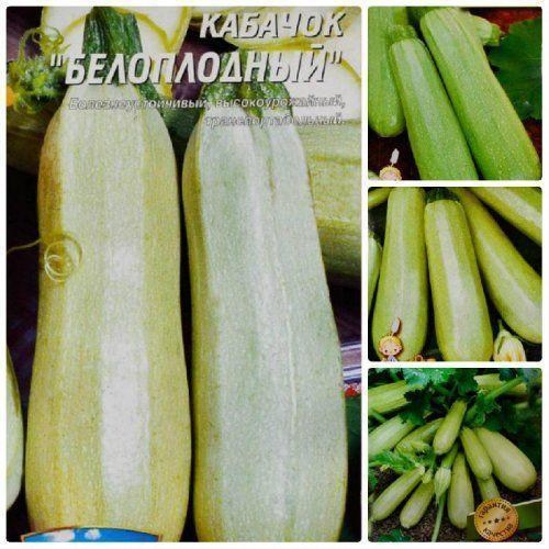 

Комплект семян кабачков Длинноплодные 10уп