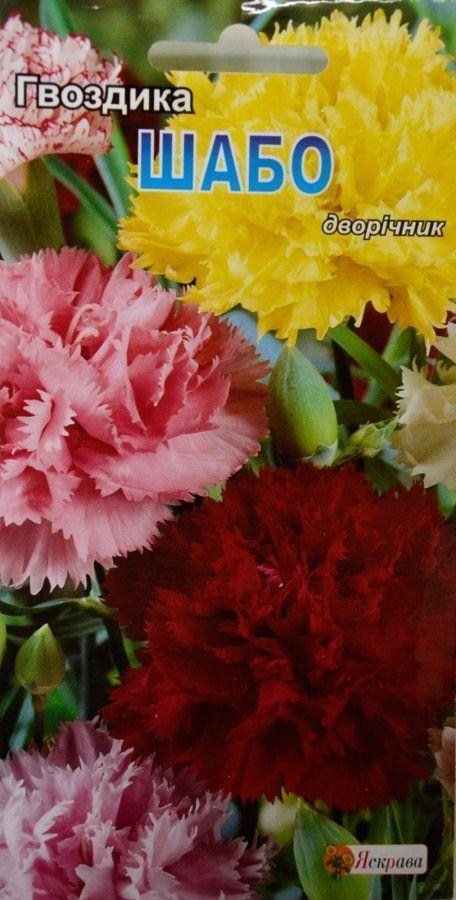 Гвоздика "Шабо смесь" ТМ "Яскрава" 0.2г