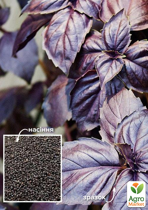 

На развес Базилик фиолетовый Дарк Опал ТМ Весна цена за 3г