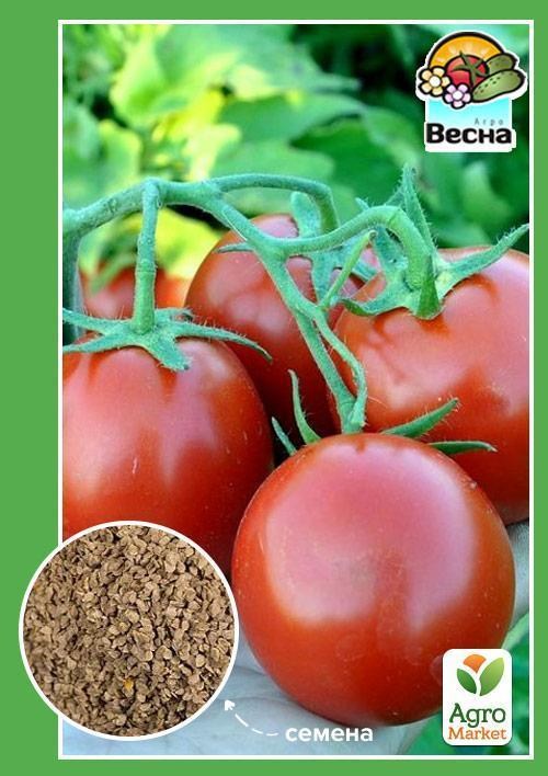 

Томат Машенька ТМ Весна 0.1г