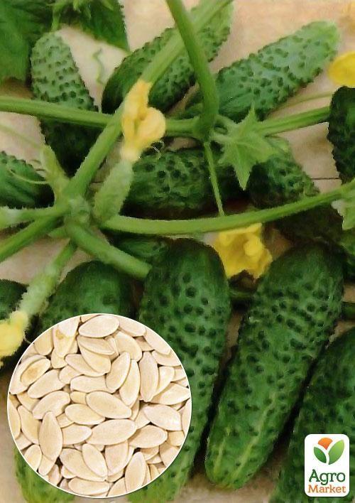 

На развес Огурец Примус ТМ Весна цена за 2г