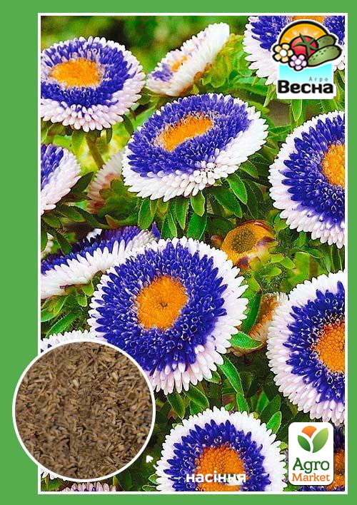 

Айстра Блакитний місяць ТМ Весна 0.2г