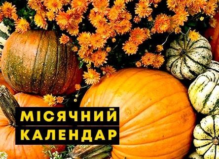 Лунный календарь садовода на сентябрь 2022