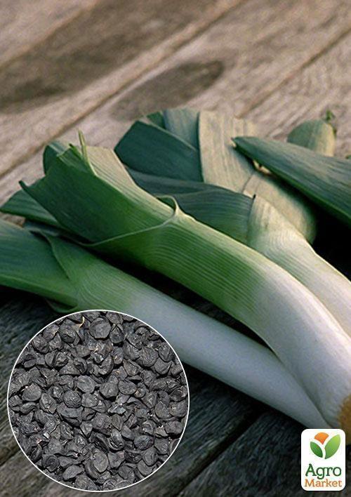 На развес Лук "Порей" ТМ "Весна" цена за 2г