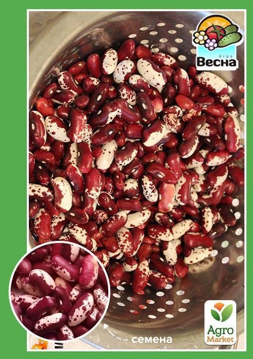

Фасоль "Скороспелка" (Большой пакет) ТМ "Весна" 15г