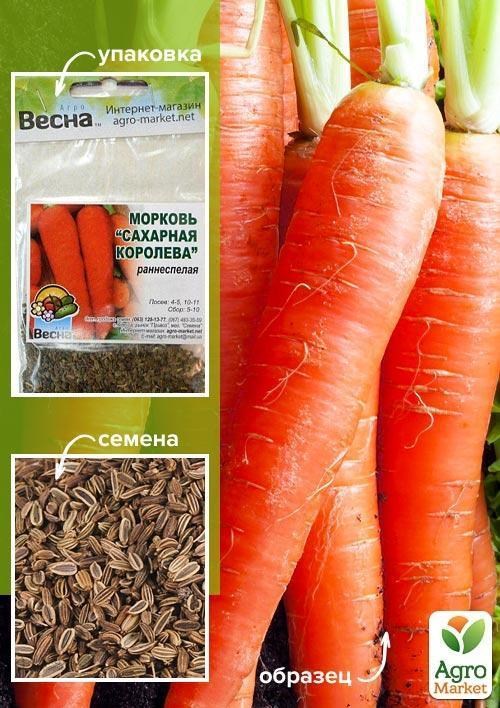 

Морковь "Сахарная королева" (Зипер) ТМ "Весна" 5г