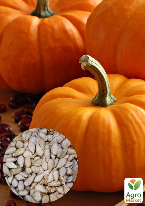 

На развес Тыква Париж де Прованс ТМ Весна цена за 10г