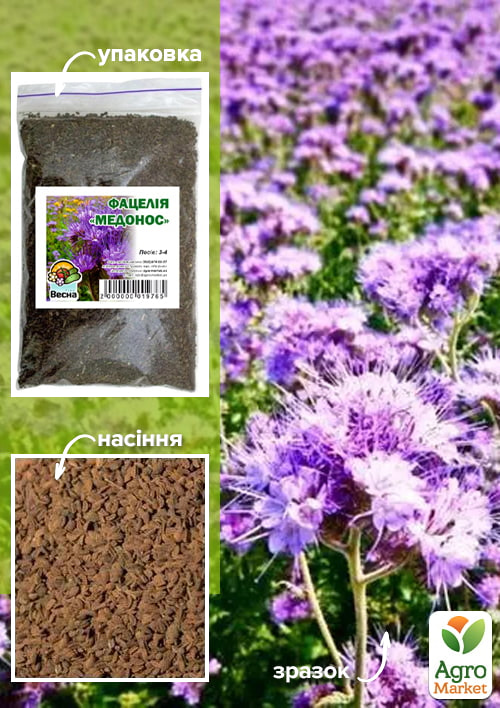 

Фацелия Медонос ТМ Весна 500г