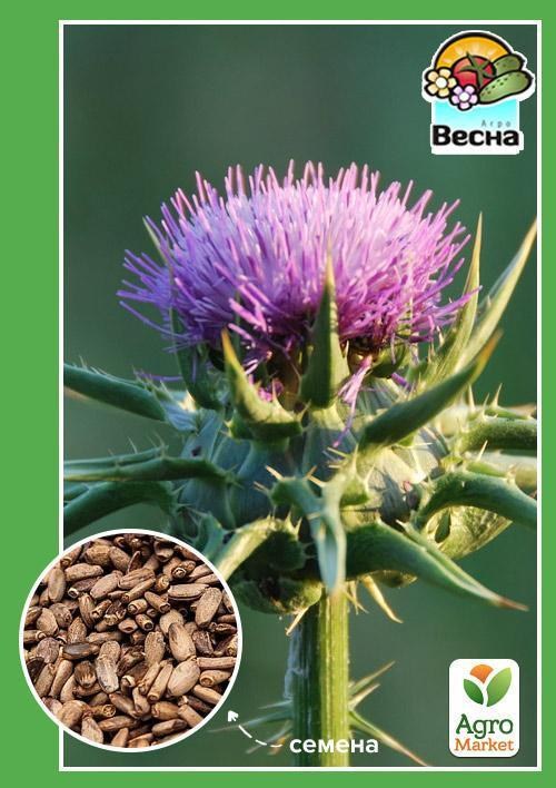 

Расторопша ТМ "Весна" 3г