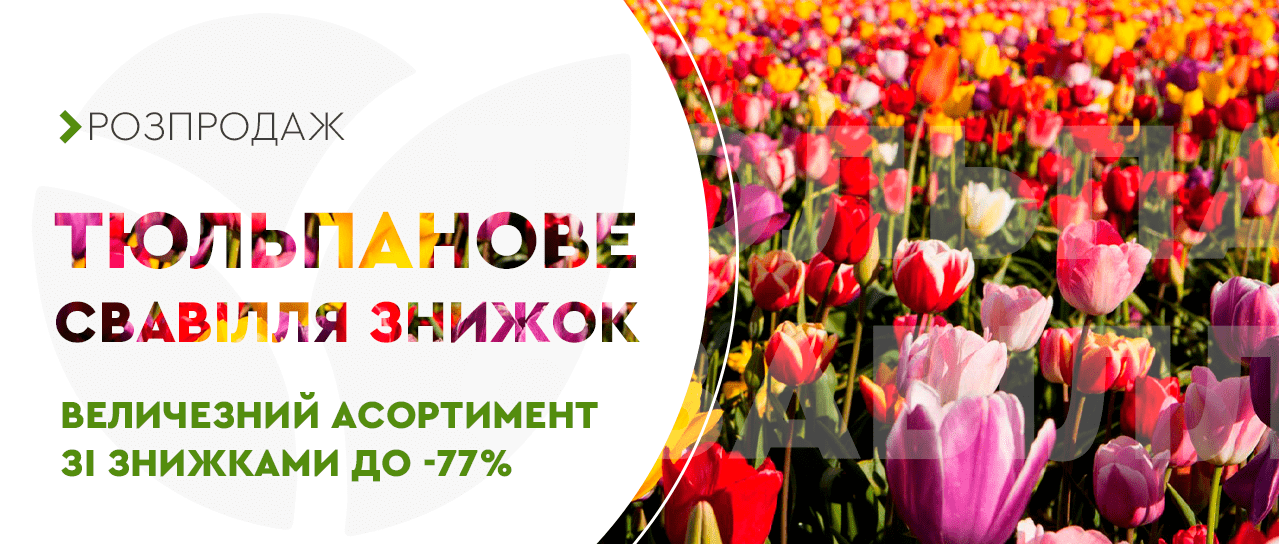 Тюльпани свавілля знижок Тюльпани свавілля знижок
