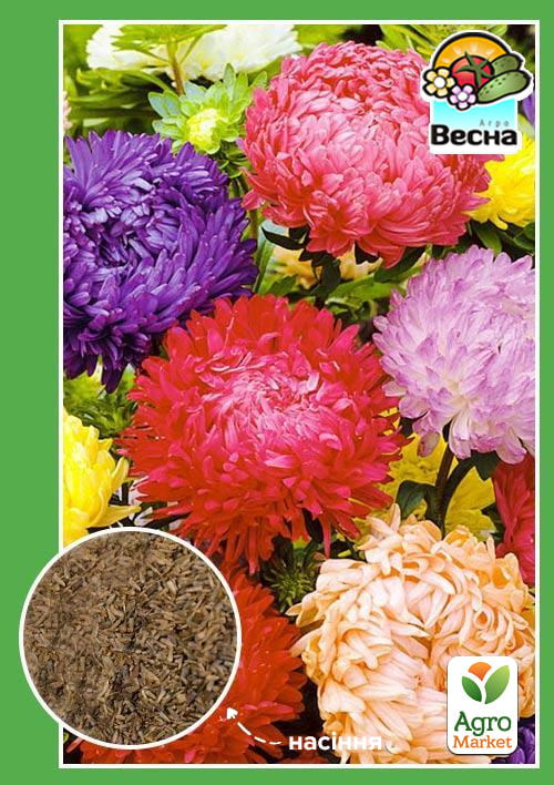 

Айстра Королівський розмір суміш ТМ Весна 0.2г