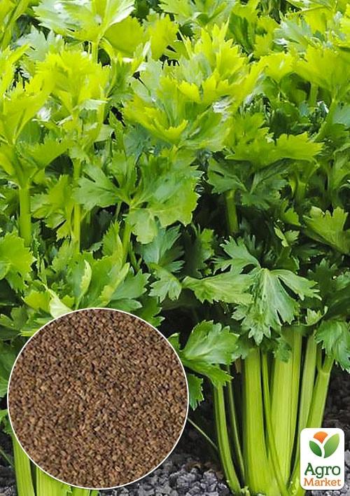 

На развес Сельдерей листовой Зефир ТМ Весна цена за 2г