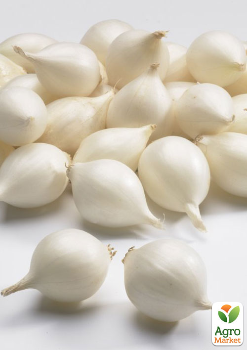 

Голландська цибуля-сіянка 0.5кг (арбажейка) середньо-рання, біла White Globe