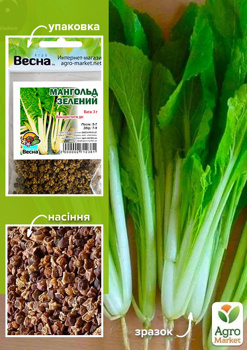 

Мангольд зелений (Зипер) ТМ Весна 3г