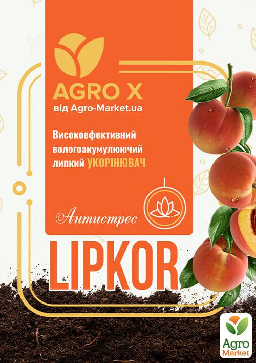 Липкий укорінювач нового покоління LIPKOR "Антистрес" (Ліпкор) ТМ "AGRO-X" 1л