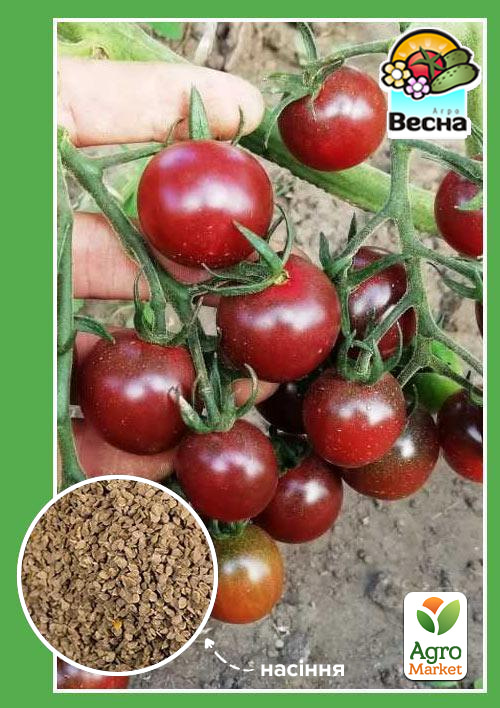 

Томат Черрі чорний ТМ Весна 0.1г