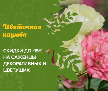 Акция! Цветочная клумба со скидками до -15% Акция! Цветочная клумба со скидками до -15%